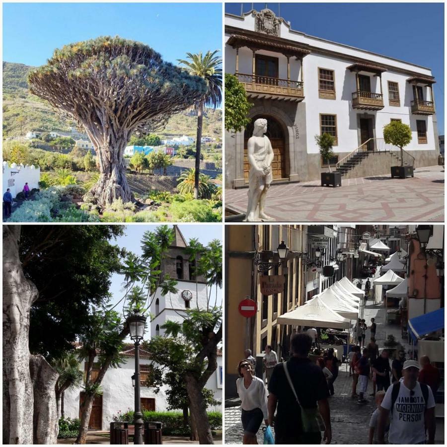 Plaza San Marcos Lägenhet Icod De Los Vinos Exteriör bild